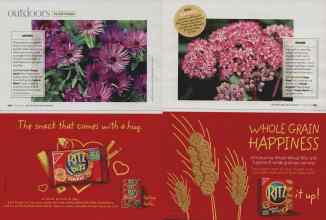 Better Homes & Gardens October 2007 Magazine Article: Page 142