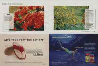 Better Homes & Gardens October 2007 Magazine Article: Page 144