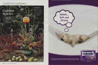 Better Homes & Gardens October 2007 Magazine Article: Page 148