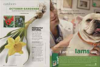 Better Homes & Gardens October 2007 Magazine Article: Page 176