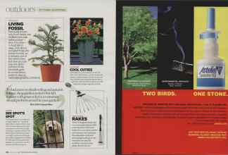 Better Homes & Gardens October 2007 Magazine Article: Page 182