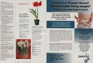 Better Homes & Gardens October 2007 Magazine Article: Page 184