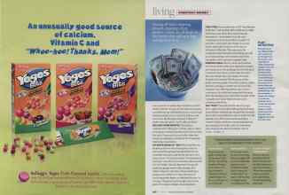 Better Homes & Gardens October 2007 Magazine Article: Page 207