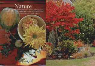 Better Homes & Gardens October 2007 Magazine Article: Grand finale