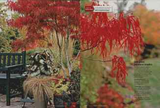 Better Homes & Gardens October 2007 Magazine Article: Page 223