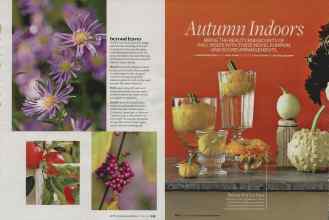 Better Homes & Gardens October 2007 Magazine Article: Page 225