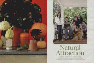 Better Homes & Gardens October 2007 Magazine Article: Page 227