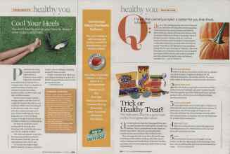 Better Homes & Gardens October 2007 Magazine Article: Page 309