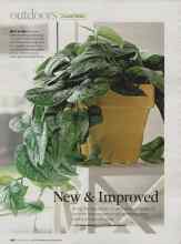 Better Homes & Gardens November 2007 Magazine Article: New & Improved