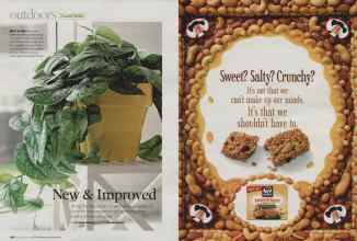 Better Homes & Gardens November 2007 Magazine Article: Page 156