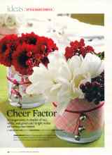 Better Homes & Gardens December 2007 Magazine Article: Cheer Factor