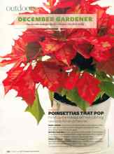 Better Homes & Gardens December 2007 Magazine Article: POINSETTIAS THAT POP