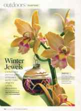 Better Homes & Gardens December 2007 Magazine Article: Winter Jewels