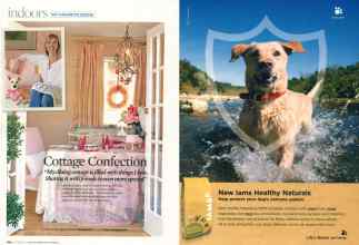 Better Homes & Gardens December 2007 Magazine Article: Page 104