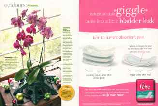 Better Homes & Gardens December 2007 Magazine Article: Page 142