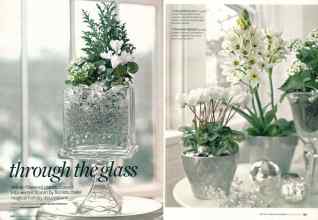 Better Homes & Gardens December 2007 Magazine Article: Through the glass