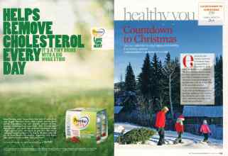 Better Homes & Gardens December 2007 Magazine Article: Page 258