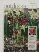 Better Homes & Gardens January 2008 Magazine Article: Early To Rise