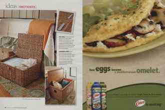 Better Homes & Gardens January 2008 Magazine Article: Page 22