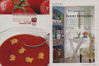 Better Homes & Gardens January 2008 Magazine Article: Page 42
