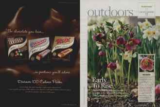 Better Homes & Gardens January 2008 Magazine Article: Page 64