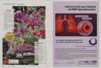 Better Homes & Gardens January 2008 Magazine Article: Page 68