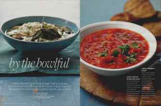 Better Homes & Gardens January 2008 Magazine Article: Page 96