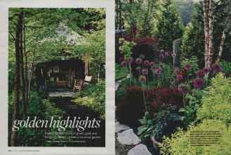 Better Homes & Gardens January 2008 Magazine Article: Golden highlights