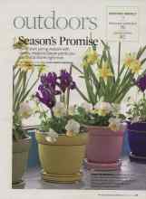 Better Homes & Gardens February 2008 Magazine Article: Season's Promise