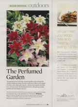 Better Homes & Gardens February 2008 Magazine Article: The Perfumed Garden