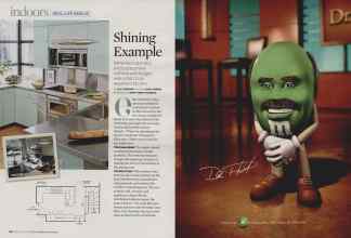 Better Homes & Gardens February 2008 Magazine Article: Page 60