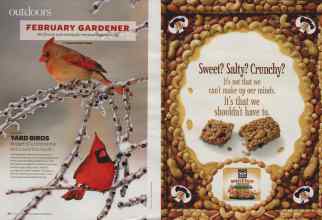 Better Homes & Gardens February 2008 Magazine Article: Page 76