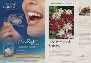 Better Homes & Gardens February 2008 Magazine Article: Page 88