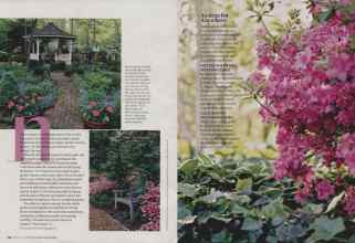 Better Homes & Gardens February 2008 Magazine Article: Page 132