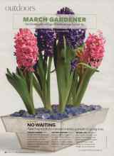 Better Homes & Gardens March 2008 Magazine Article: NO WAITING