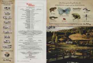 Better Homes & Gardens March 2008 Magazine Article: Page 10