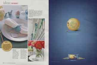 Better Homes & Gardens March 2008 Magazine Article: Page 20