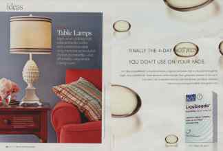 Better Homes & Gardens March 2008 Magazine Article: Page 24