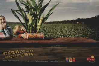 Better Homes & Gardens March 2008 Magazine Article: Page 46