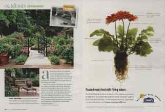 Better Homes & Gardens March 2008 Magazine Article: Page 78