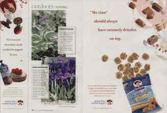 Better Homes & Gardens March 2008 Magazine Article: Page 88