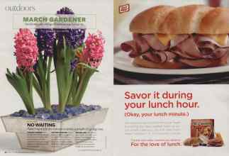 Better Homes & Gardens March 2008 Magazine Article: Page 90