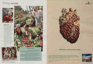 Better Homes & Gardens March 2008 Magazine Article: Page 108