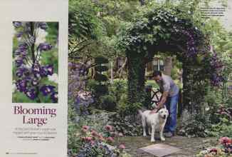 Better Homes & Gardens March 2008 Magazine Article: Blooming Large