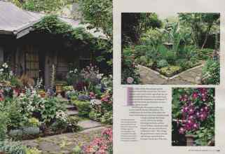 Better Homes & Gardens March 2008 Magazine Article: Page 138