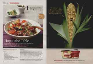 Better Homes & Gardens March 2008 Magazine Article: Page 158