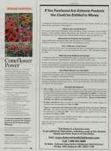 Better Homes & Gardens April 2008 Magazine Article: Coneflower Power