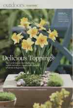 Better Homes & Gardens April 2008 Magazine Article: Delicious Toppings