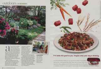 Better Homes & Gardens April 2008 Magazine Article: Page 92