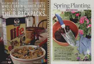 Better Homes & Gardens April 2008 Magazine Article: Page 116